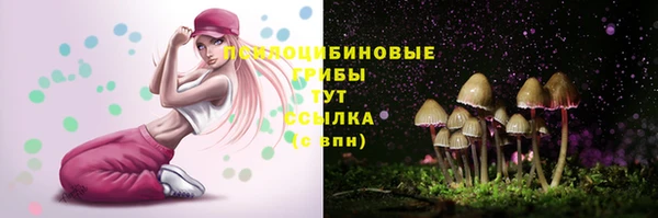 скорость Баксан