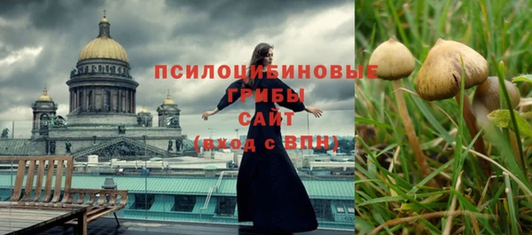 скорость Баксан